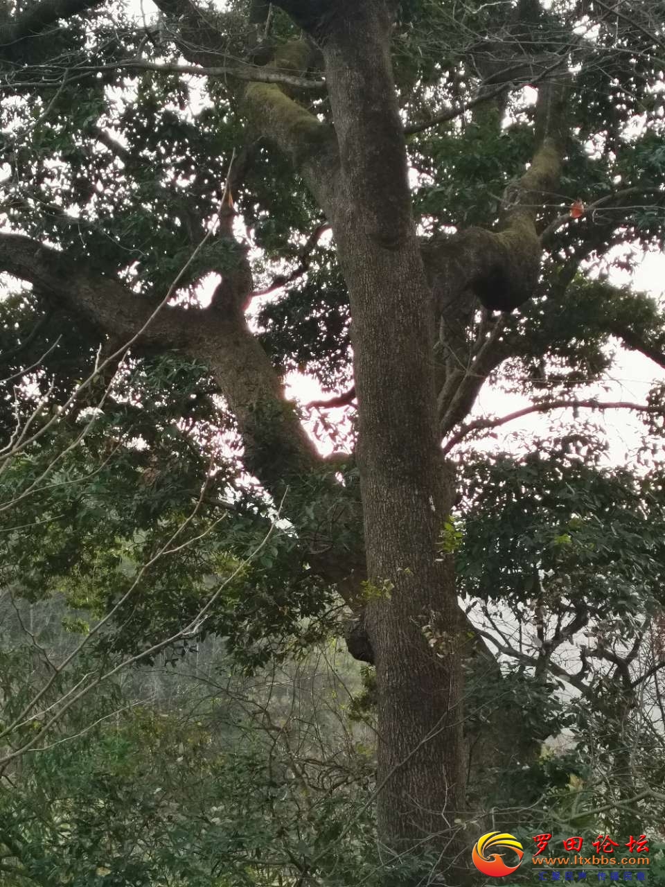 20221213_63889_1670926656559.jpg