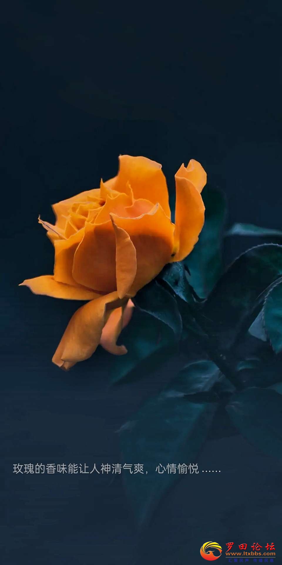 20221214220748front2_0_1160_FnfNL3RF0NI0p3TrcM1dhyarBNkF.jpg
