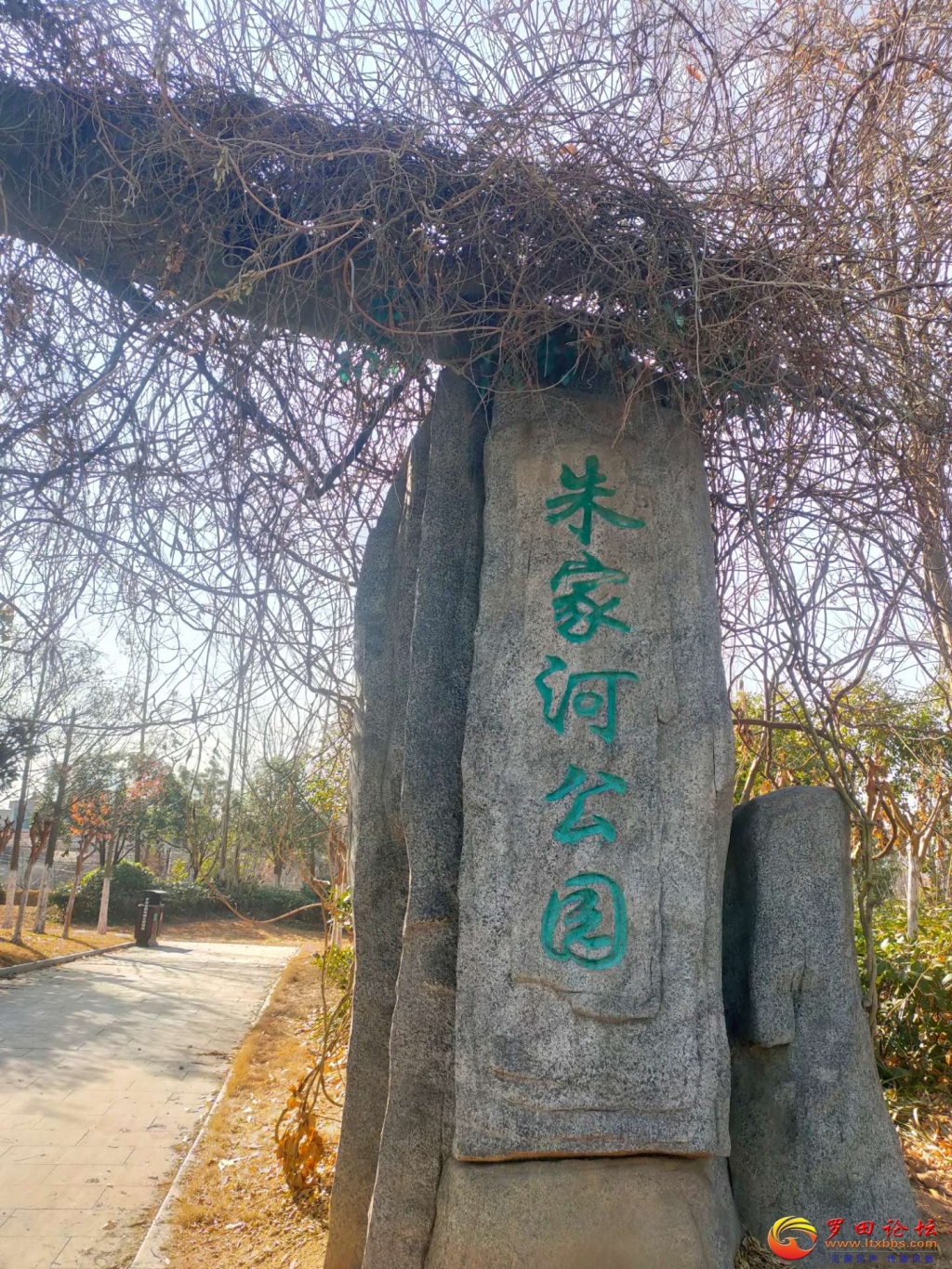160052xouizvrhqw2voo2i.jpg