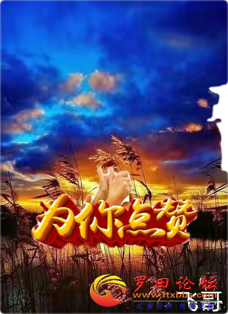 20230116181331front2_0_80444_FoL72JA3ytdiwPOEcpB4u-oD52GX.png