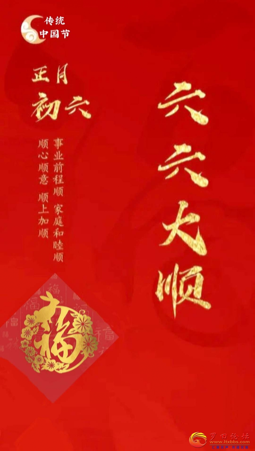 142552gkauwtu87dfs7ka4.jpg