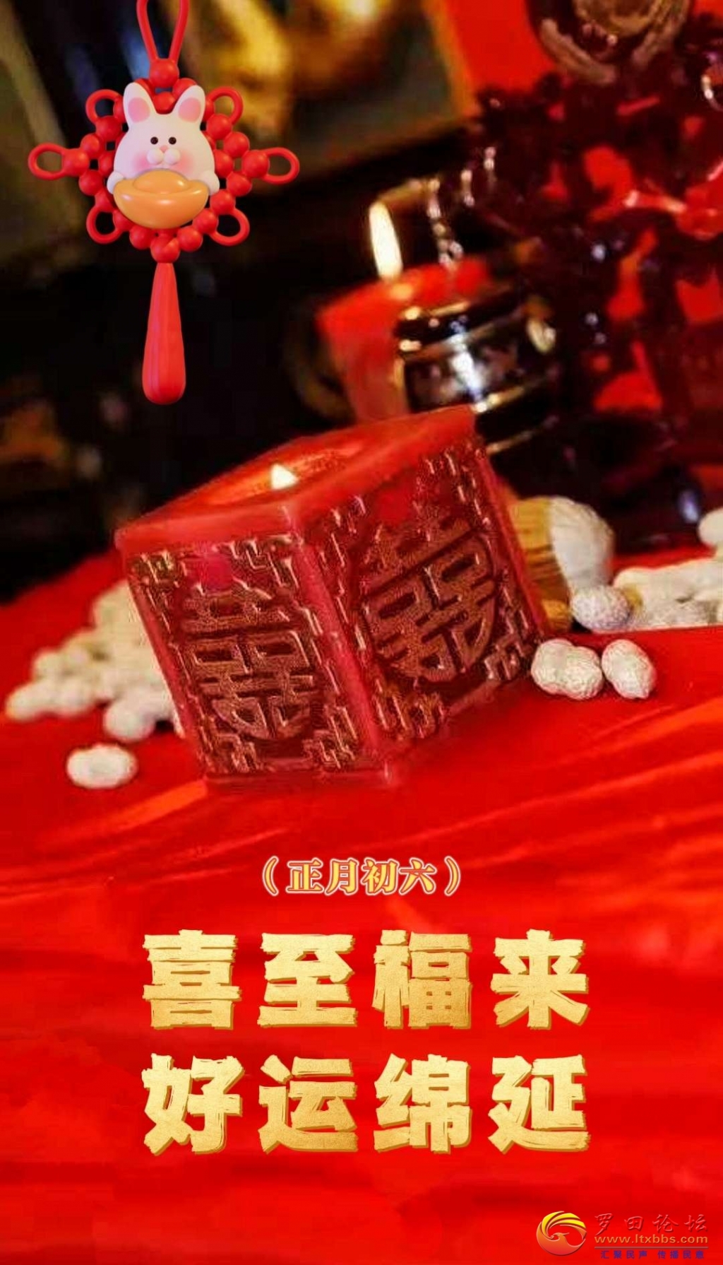 142553ov8de3123zdjv02y.jpg
