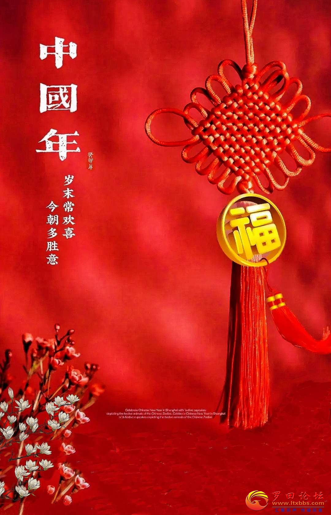 20230131101324front2_0_1160_Fk-oO2o9kt9Ckd_UyqMqKj-FxnfY.jpg