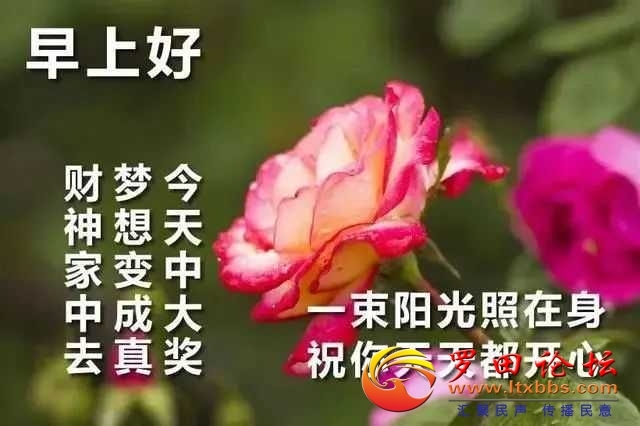083530vx79pidp4wqsw946.jpg