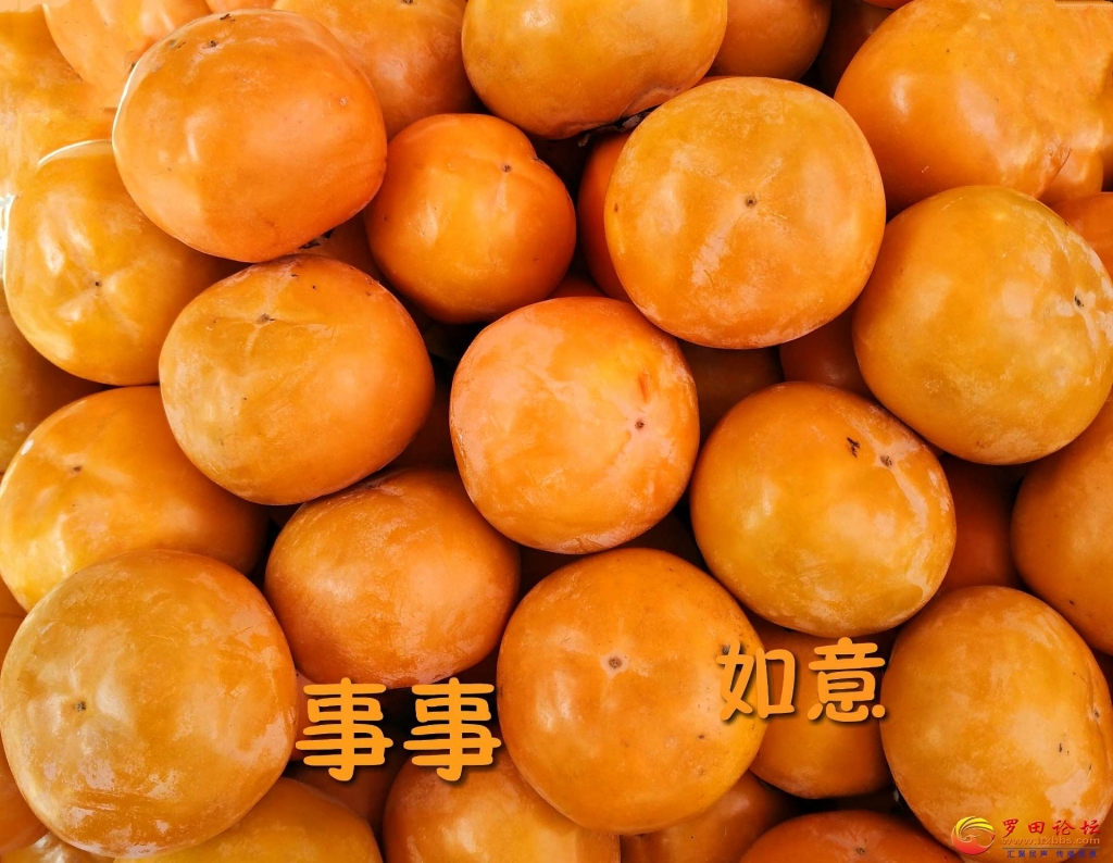 080514u27zgm46g7e4ii2h.jpg