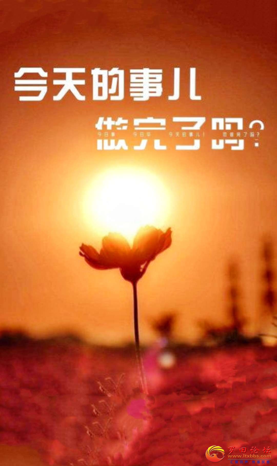 20230228182534front2_0_1160_Fl_rzTZZ9b2Iyb5aheBu2npsK0DF.jpg