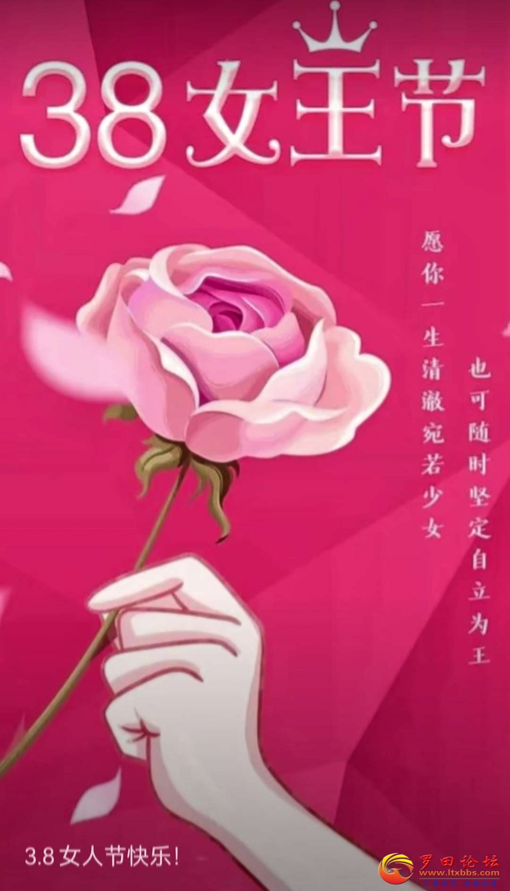 105654lzzz2w27tqd31yxl.jpg