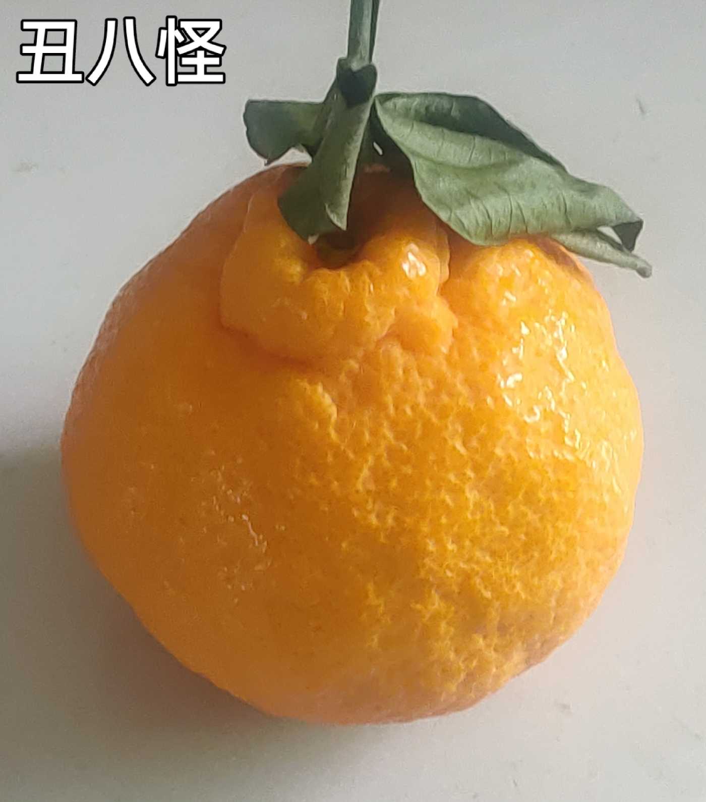 ΢ͼƬ_20230329105007.jpg