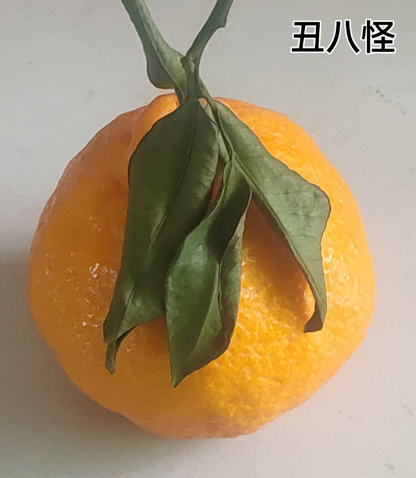 ΢ͼƬ_20230329105014.jpg