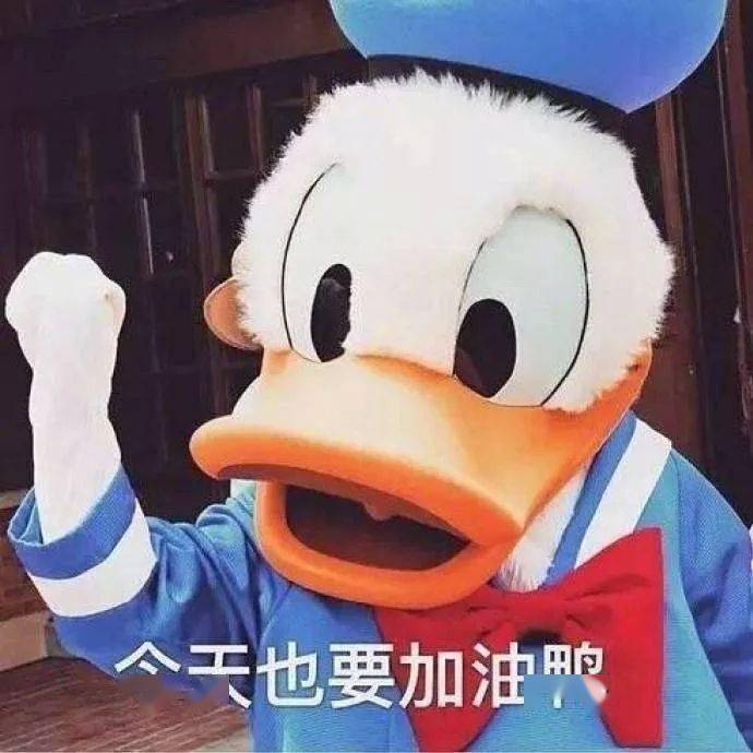 69f45484333849c2ab4bb541446b2d88.jpeg