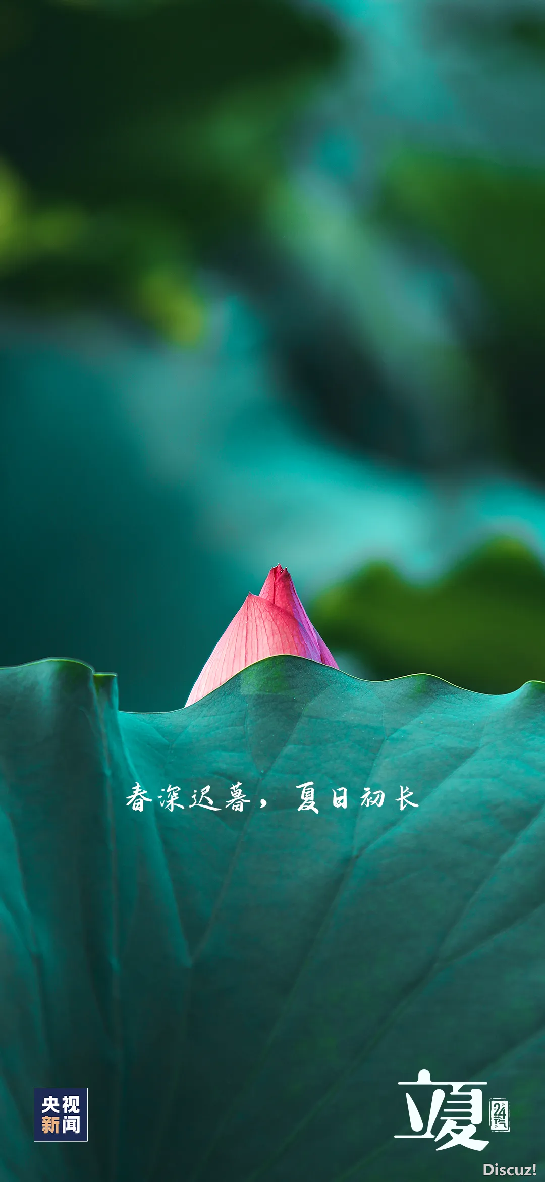 20230506175452front2_0_1160_FilaaxxE8il2-8t8GeRxazxC0PGf.png