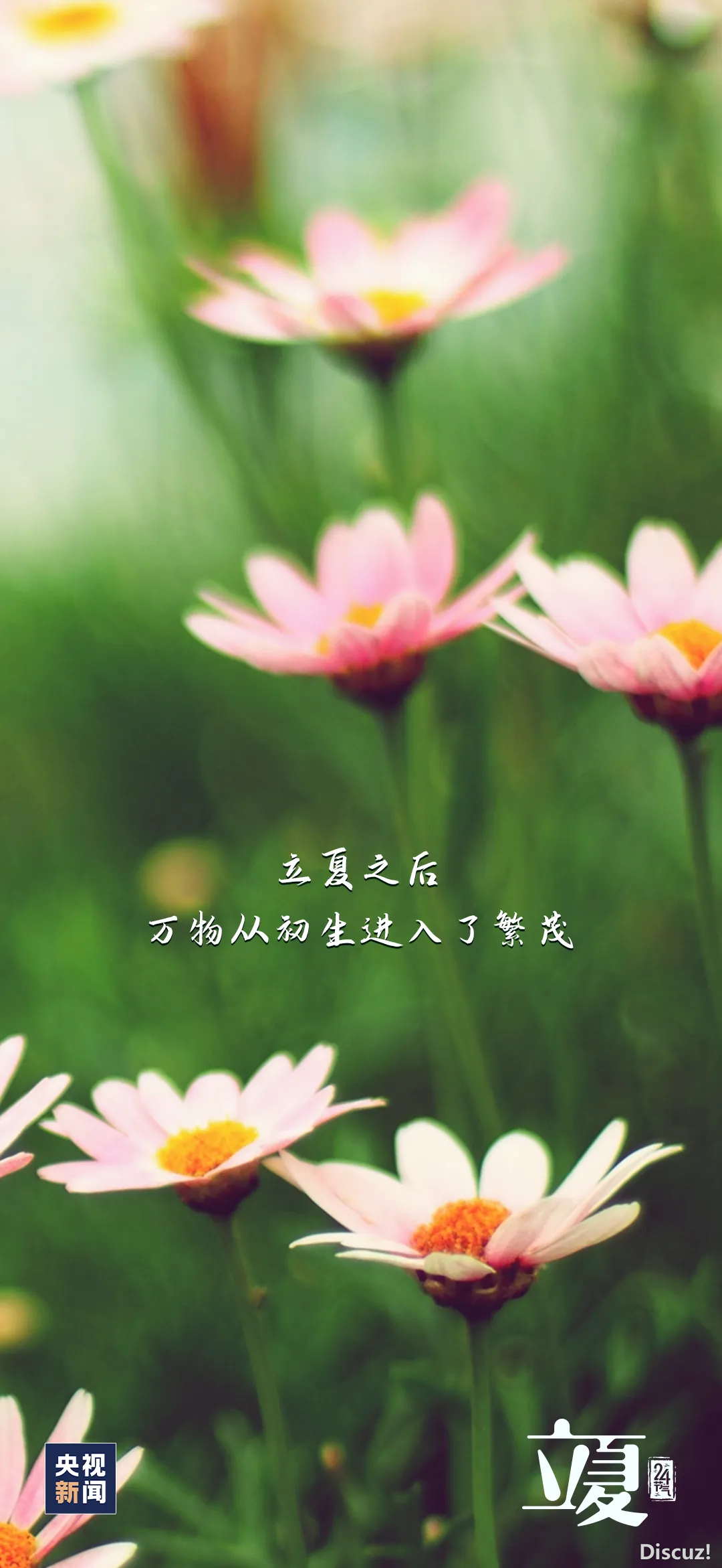 20230506175451front2_0_1160_Fmvkj7eee6mztF0sO2bCPgEe8Pr8.png