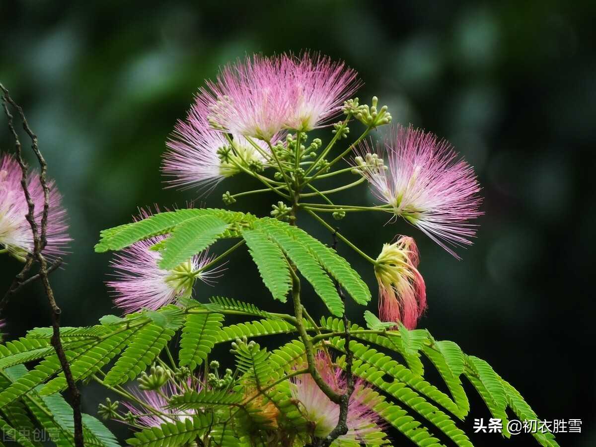 2183ed2b9e429e8e8a8ac723f2d802c1_f1cfa2e71b8ec6043e7dc76f6a7ed8c7.jpg