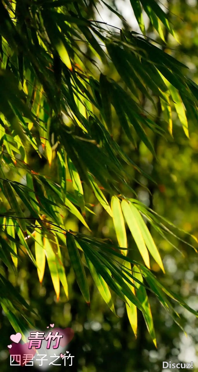 20230512081019front2_0_37699_FoL_9bmi7FxvjunQ3yGPY3P8Az4B.jpg