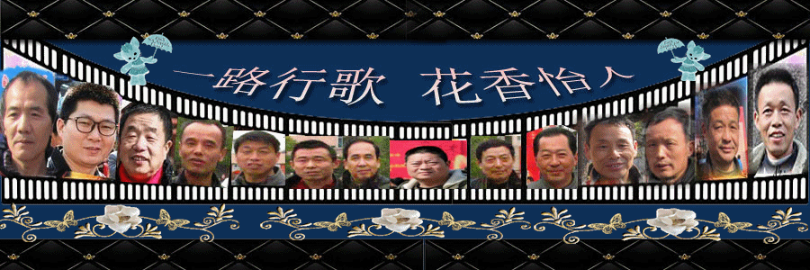7.gif