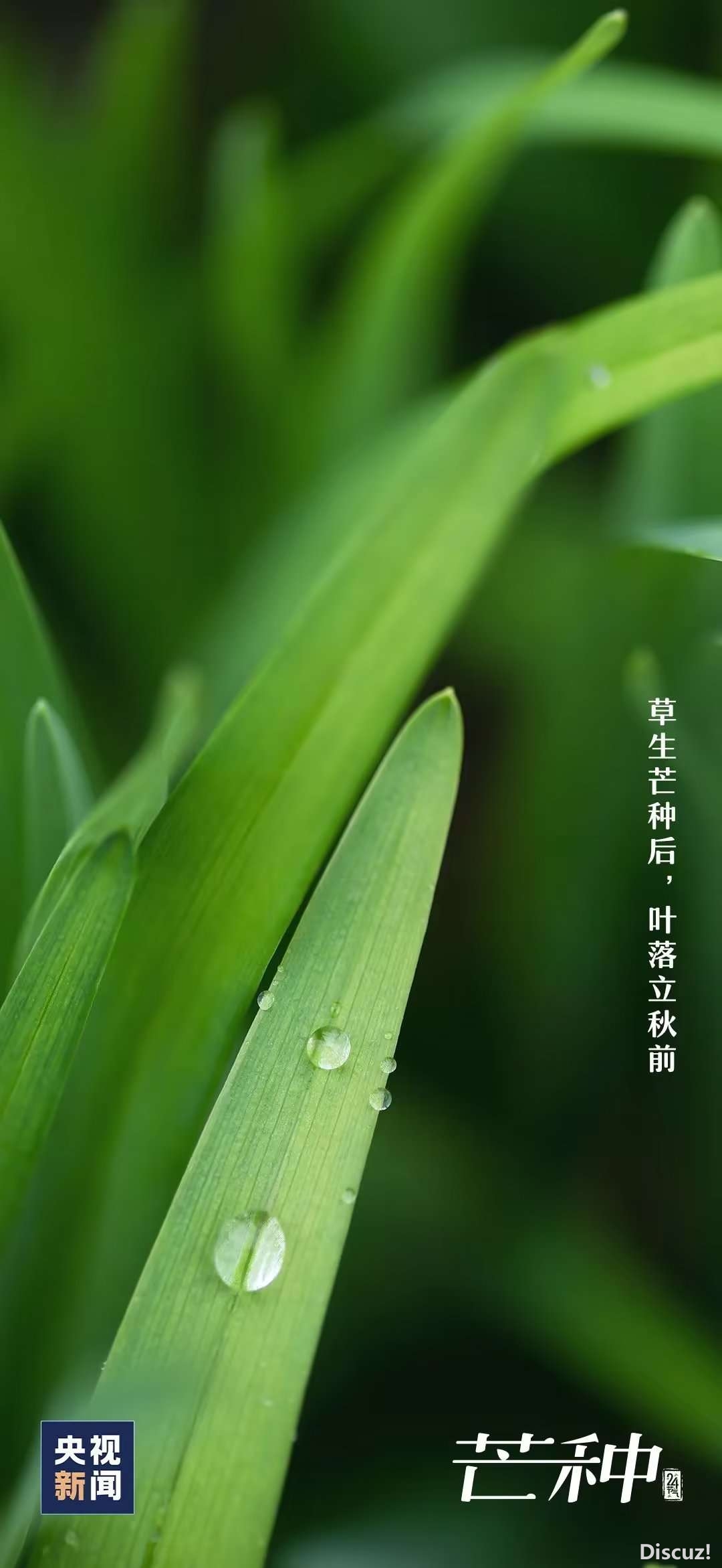 20230606074010front2_0_1160_FtVlsaNLoqUqJu442WBf5Xc29qzR.jpg