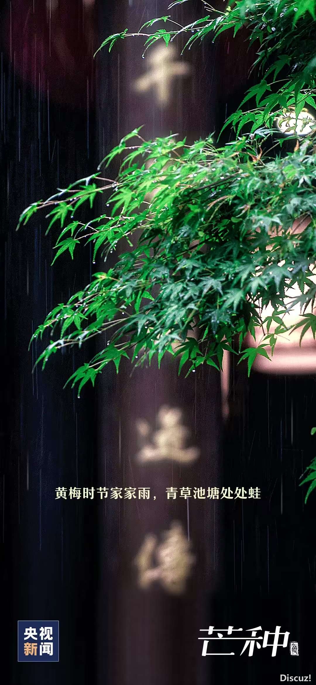 20230606074010front2_0_1160_FuLBJ_v_w4YbkBat9Hu8I30lAQDr.jpg
