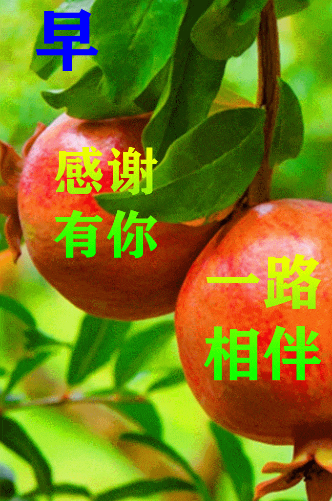 e82c6d68a4dba6e4b23afe682bc819de_075138g8rw8nbl6al5a8rr.gif