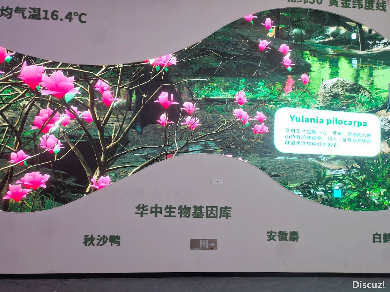 20230707192944front2_0_1160_FjvX2C6uDeOXt8MH6wAZW-hsZ6PV.jpg