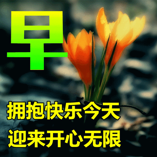 ca850573ceb71ec47f0c85cc67f9686b_u=22125233152790222186fm=253fmt=autoapp=120f=GIF_w=500h=500.gif