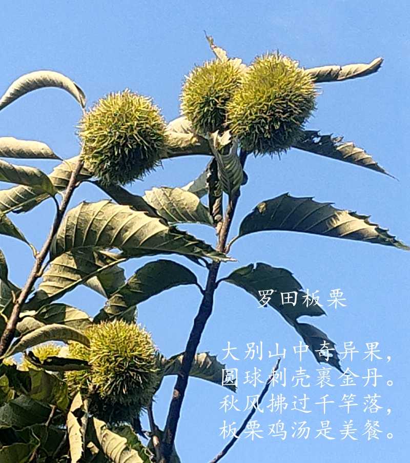 IMG20230819081004_.jpg