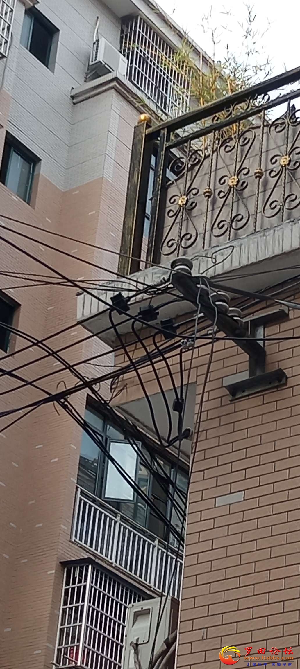 20230825073227front2_0_79466_FjQEJuxnyNRgmdTo8UisF8KUgAxq.jpg