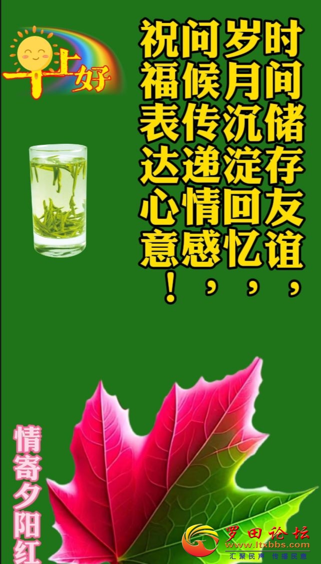 20230825075728front2_0_57696_FlaraYz0El3n0E_iPzbwC2L5jtID.jpg