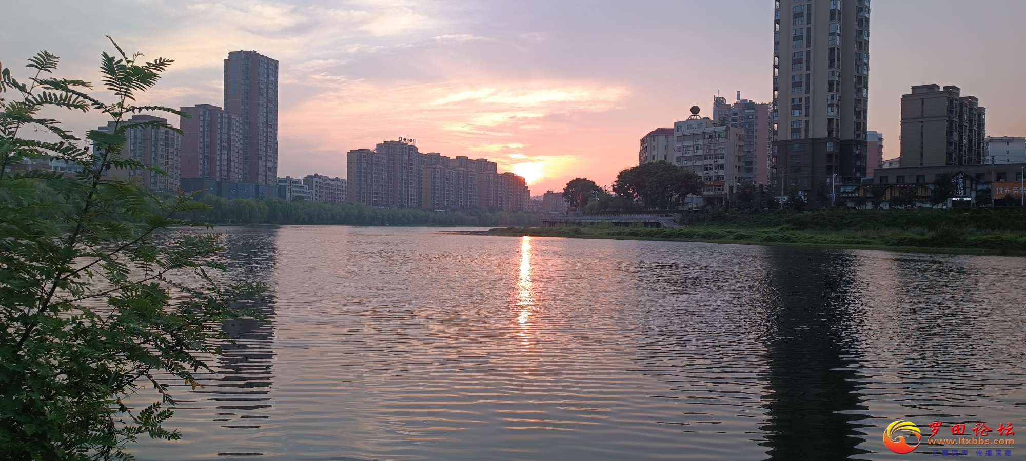 20230826074644front2_0_57696_Fh7Zc3wFyuHtrEDdhm4t27wYrYQh.jpg