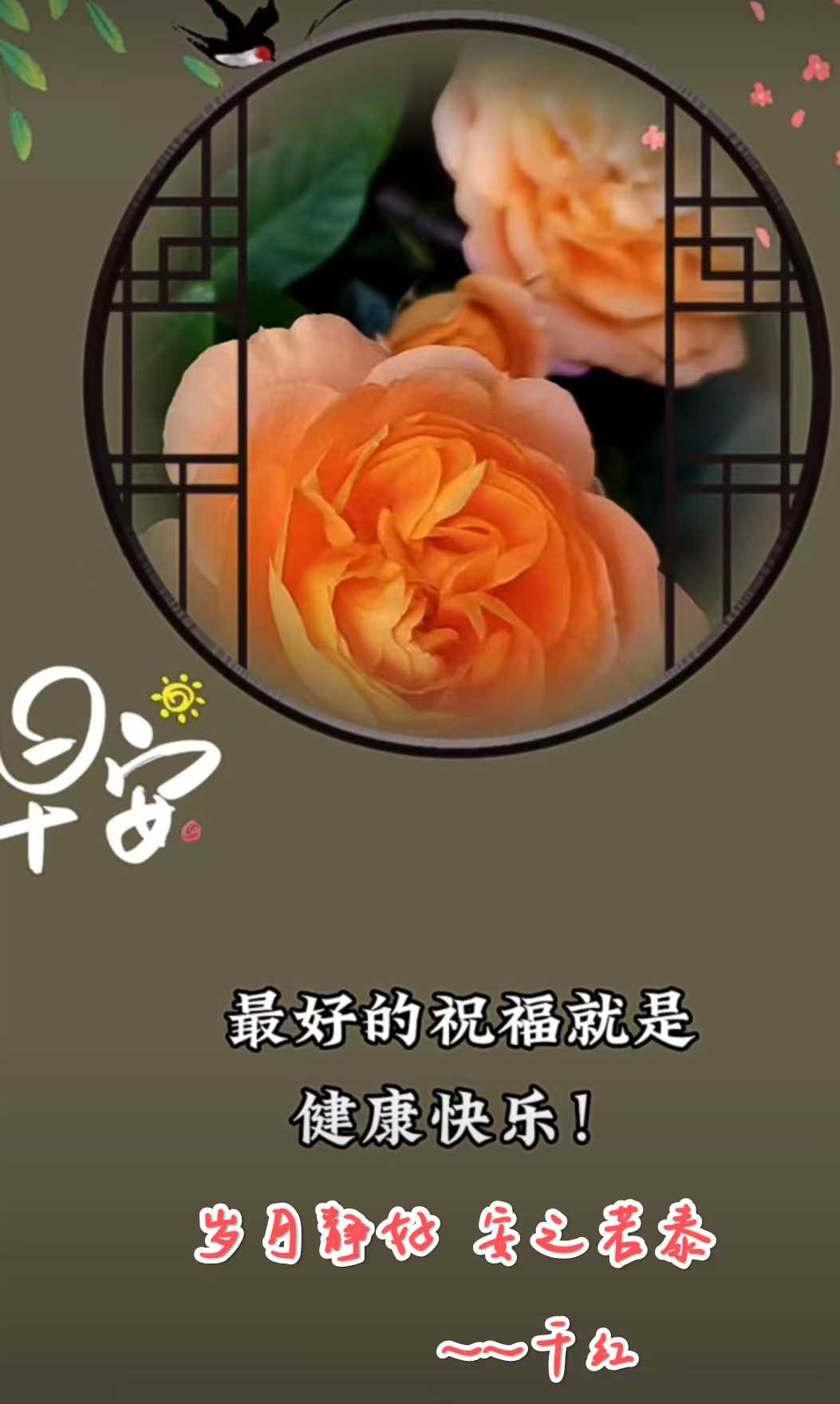 093325n984ej68c9997m5t.jpg