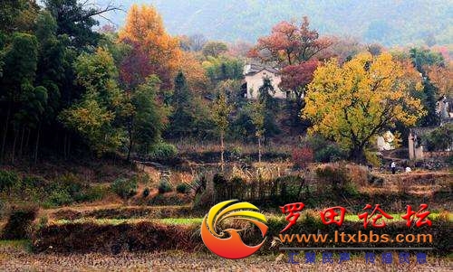 20230907214347front2_0_63384_FusExBxpqTresoV3kcHOPNBDsQsD.jpg