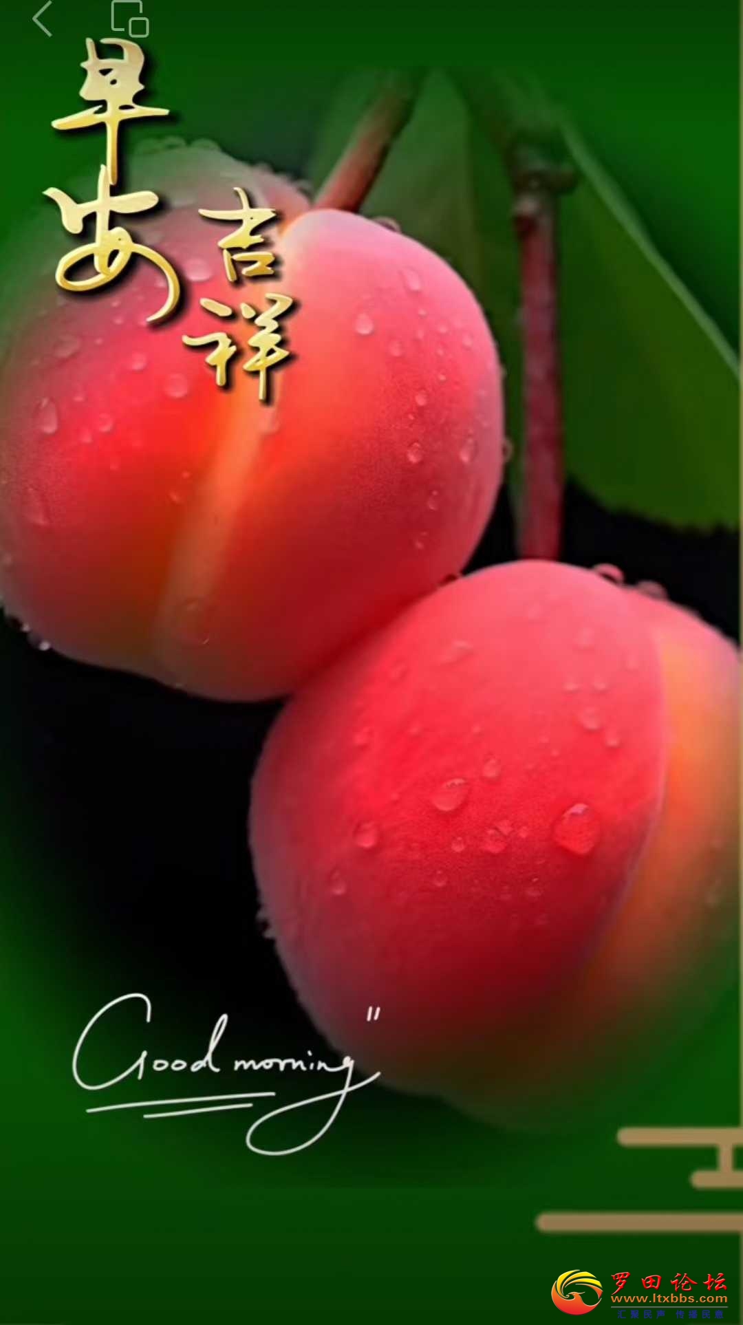 ΢ͼƬ_20230911082414.jpg