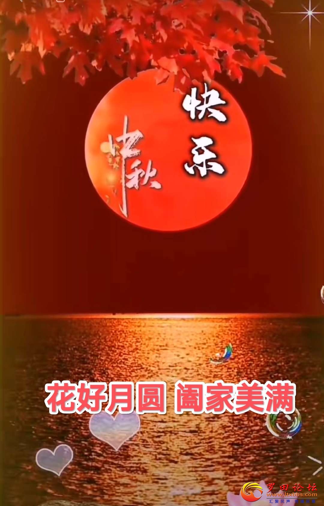 20230929071446front2_0_988_FuGoH2ndXnMqOy8W7tvmp10CQXFk.jpg
