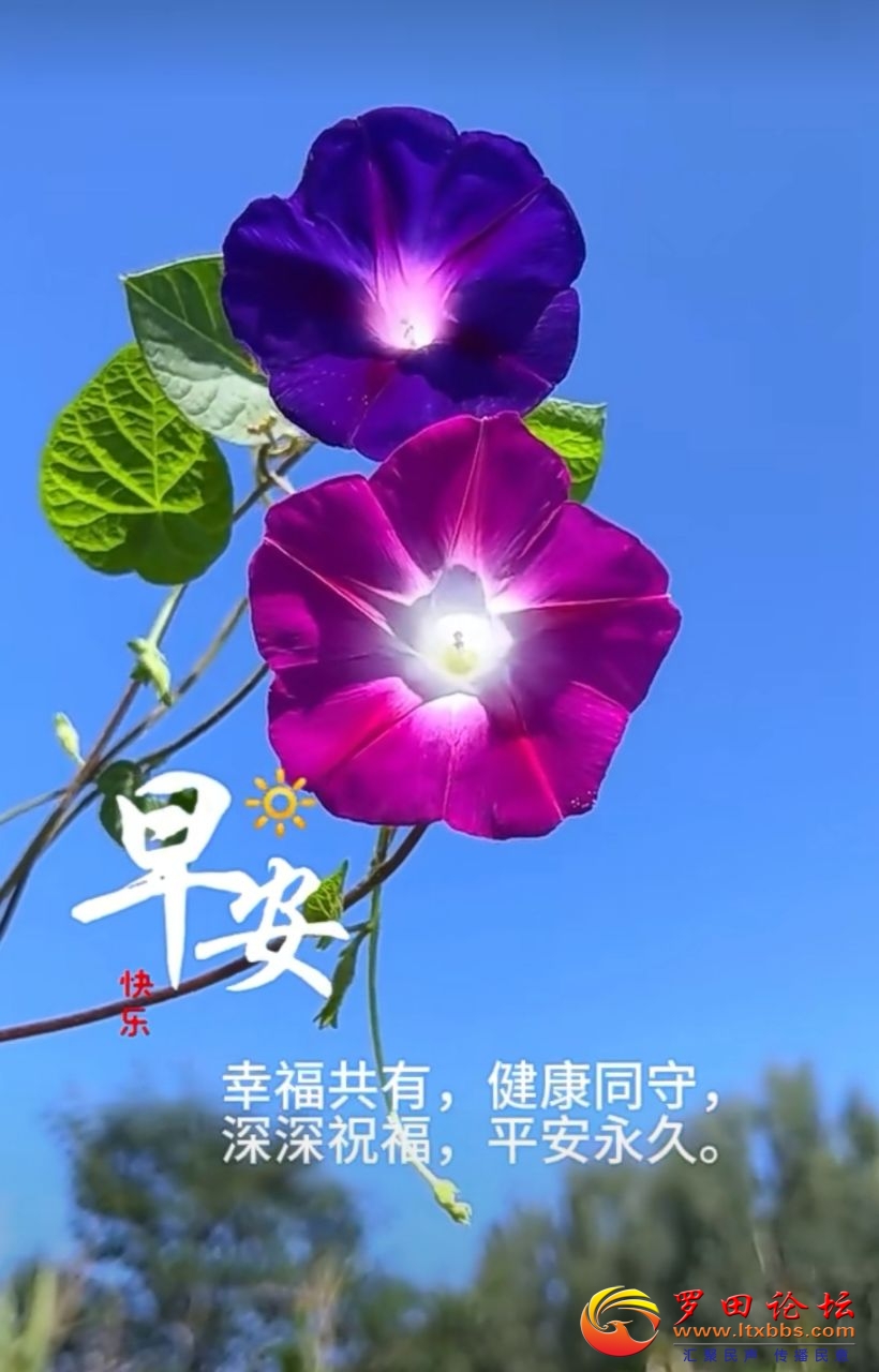 20230929071852front2_0_988_FjYYuZeYa50yXYKU3o1zbxst60R3.jpg