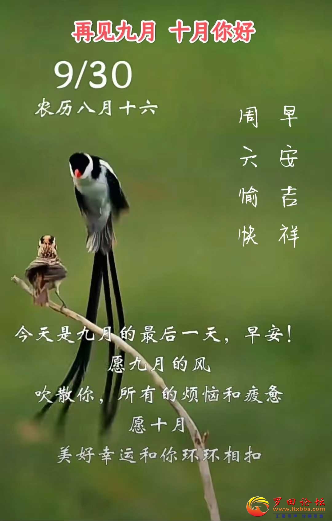 a7485ac7811d647a81a1327ac72a272.jpg