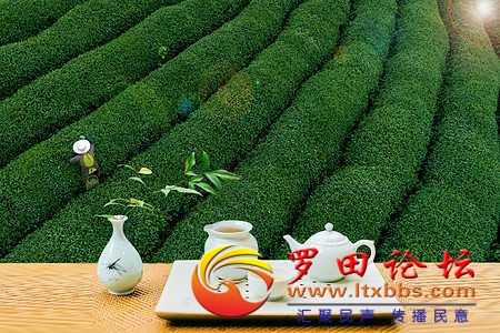 177cbf703e949be4ab8fee0c12483895_2836.jpg_wh300.jpg