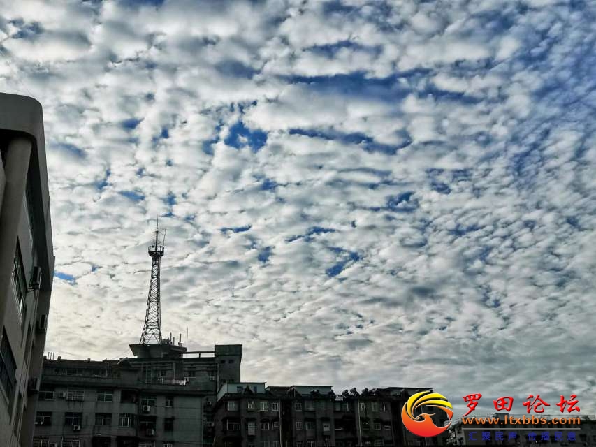 20231013201932front2_0_1160_FikvO1pUYWQ8ZOsbysTH7xXSr7lu.jpg