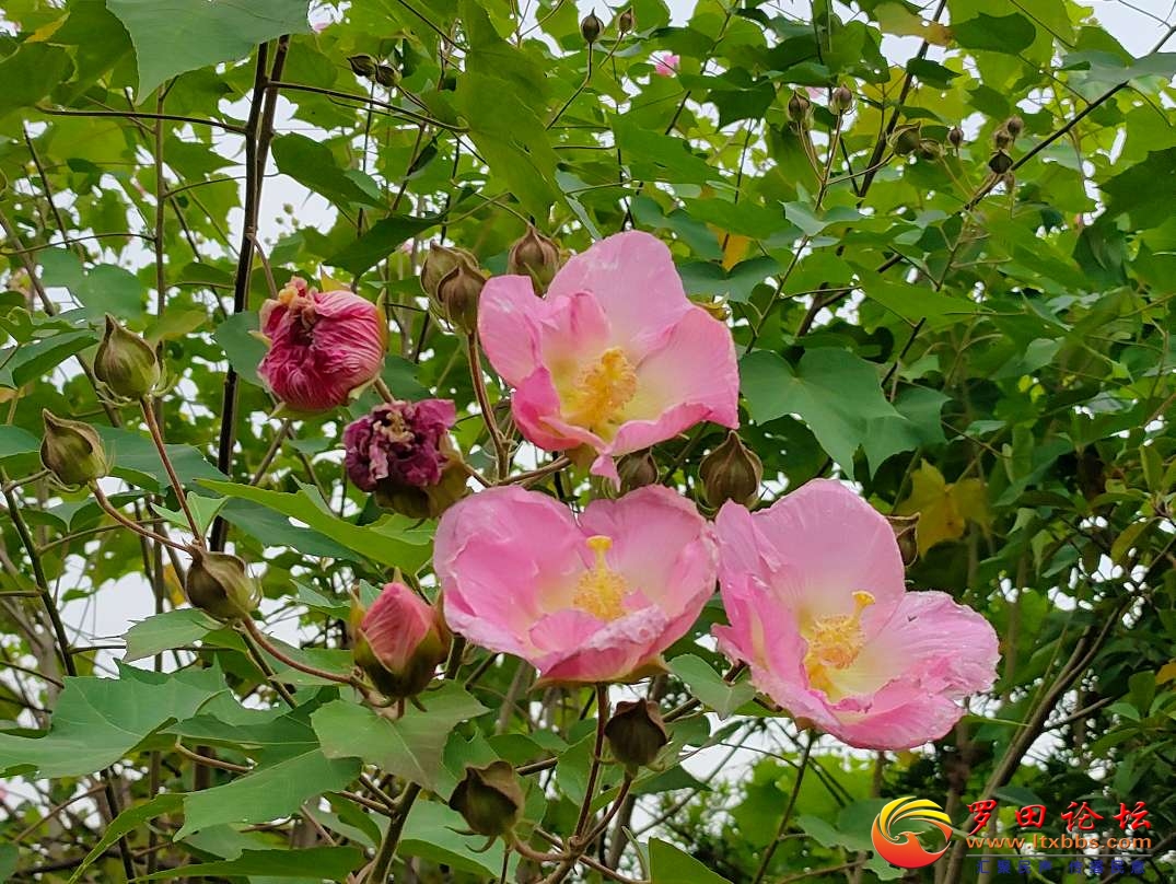 20231019222315front2_0_1160_Fs0kgzcFu4sVyq79R7onqP3VcT9M.jpg