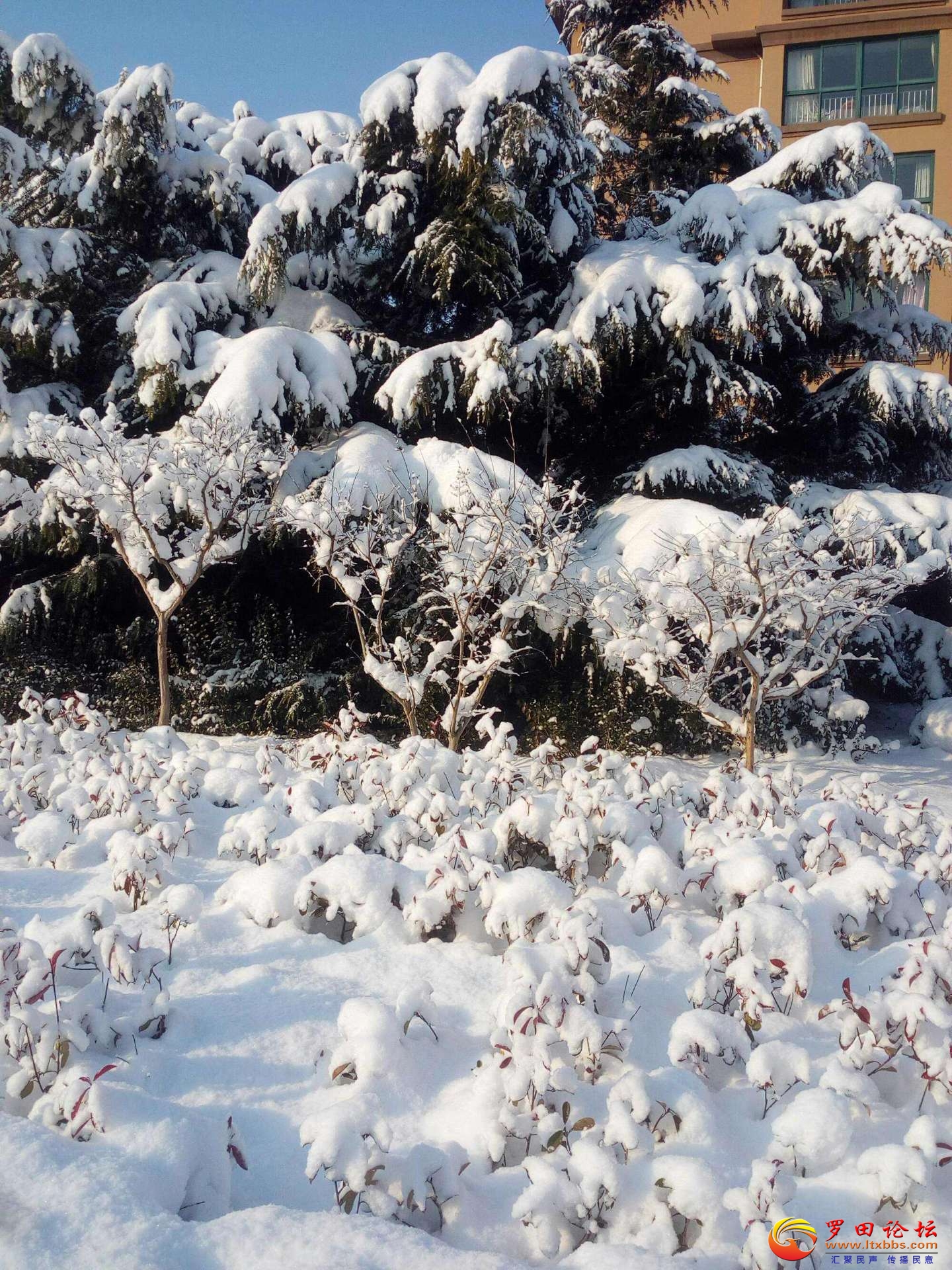 20231020114836front2_0_78546_FrM7jfPE64xq48I6D3UgZSAlT01X.jpg