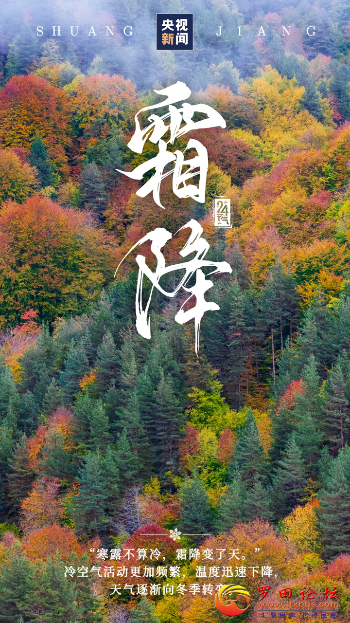 094256tqewf9xz7w74p9zl.png