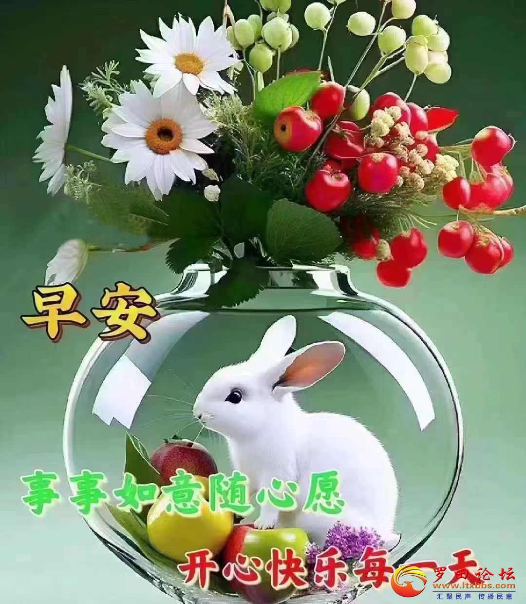 ΢ͼƬ_20240108073247.jpg