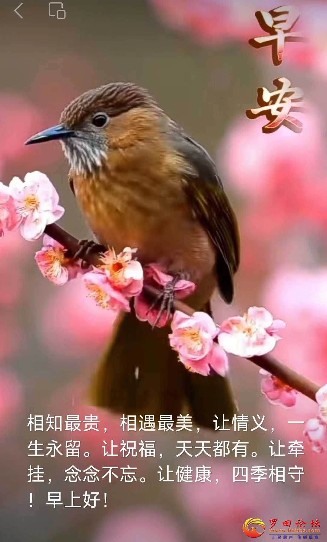 ΢ͼƬ_20240108073304.jpg