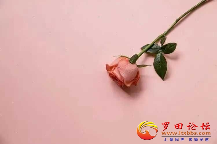 fa3d92734bf80b329f3089e481775c78_640_wx_fmt=jpegfrom=appmsgwxfrom=5wx_lazy=1wx_co=1.jpg