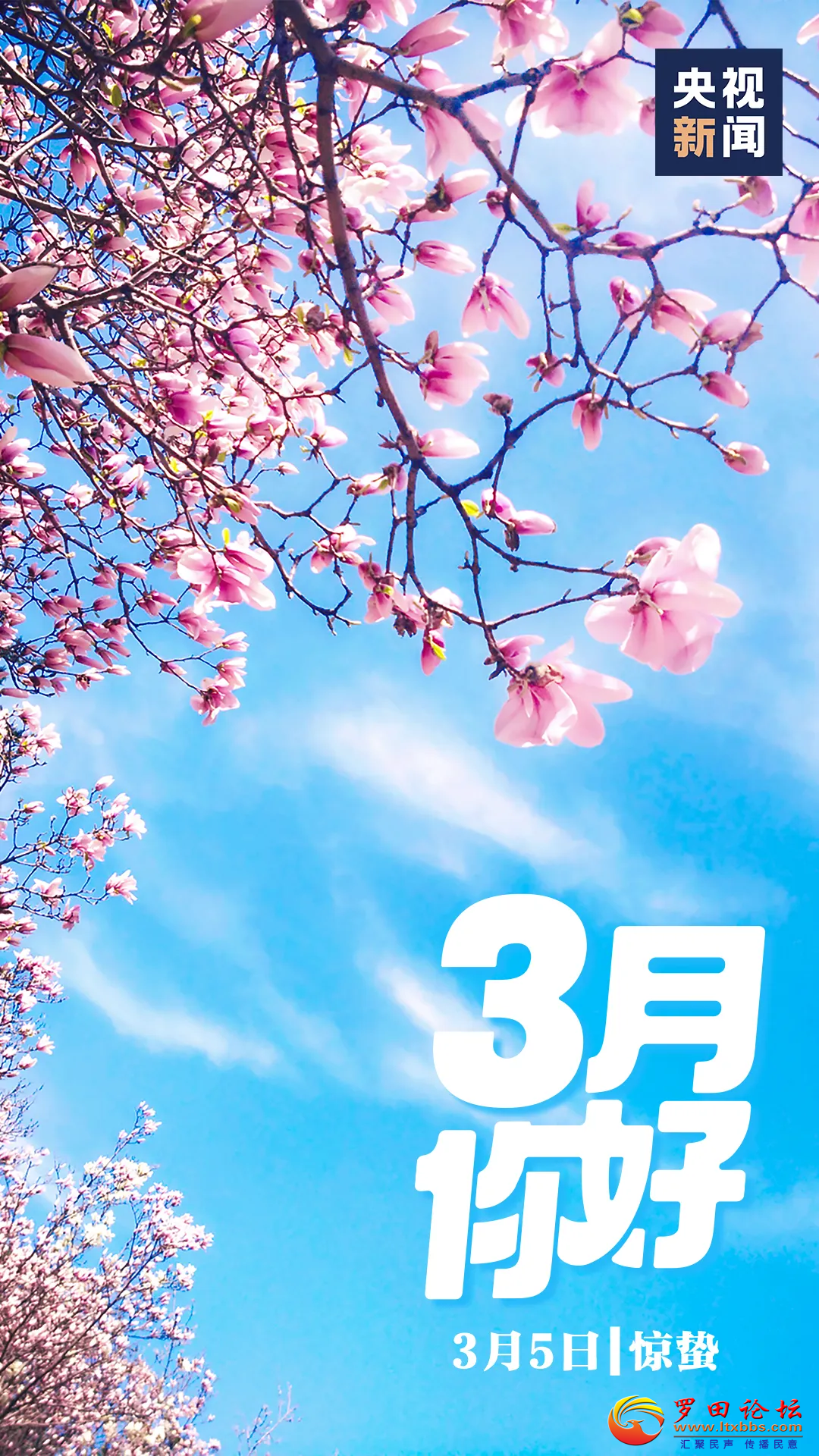 20240305124408front2_0_1160_FhaL3uPB29eViBPb-DMryBrKSCBZ.png