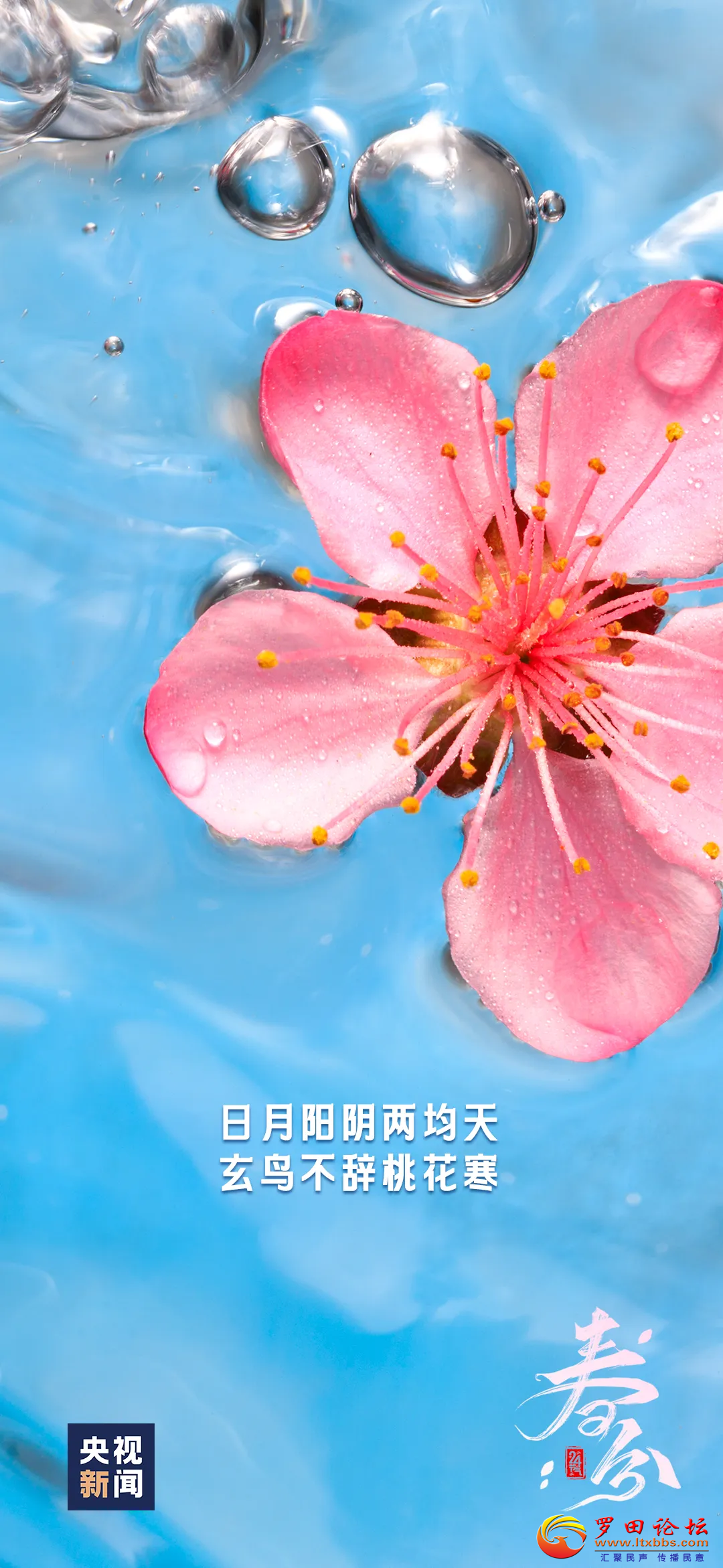 20240320114955front2_0_1160_Fg0KE0On7NttwR3bG1liQg3m0EpH.png
