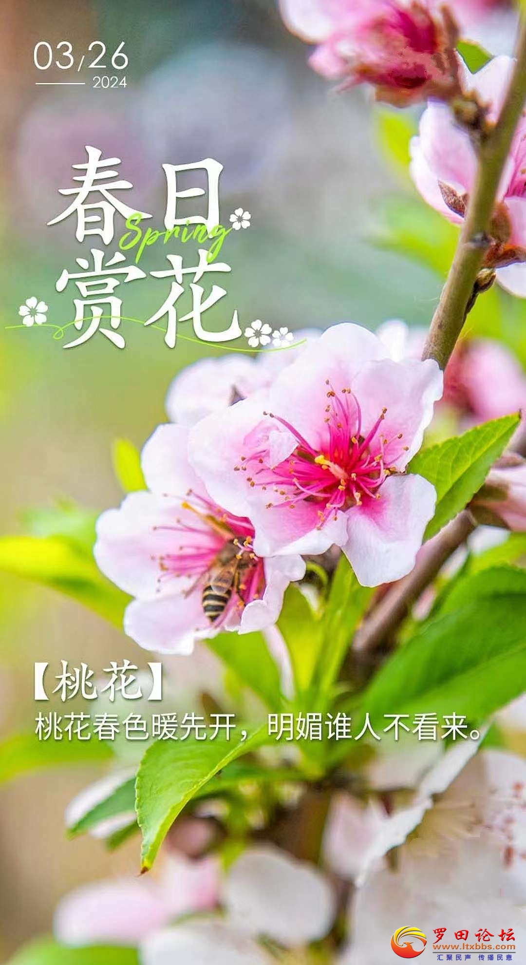 20240326221100front2_0_1160_FqySh5q7k6o3s3ZENGhytg93MQNs.jpg