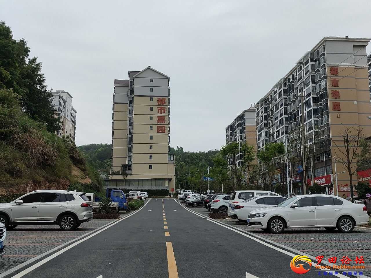 08154e7b3cba05ee063935eabb7767ae_194130a35p8qjiu48uyzuu.jpg