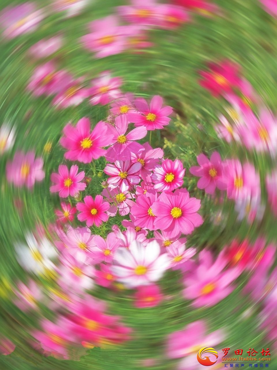 20240507191910front2_0_1160_FpzIcqhGuDT9NID9LXaVV0tyQXVi.jpg