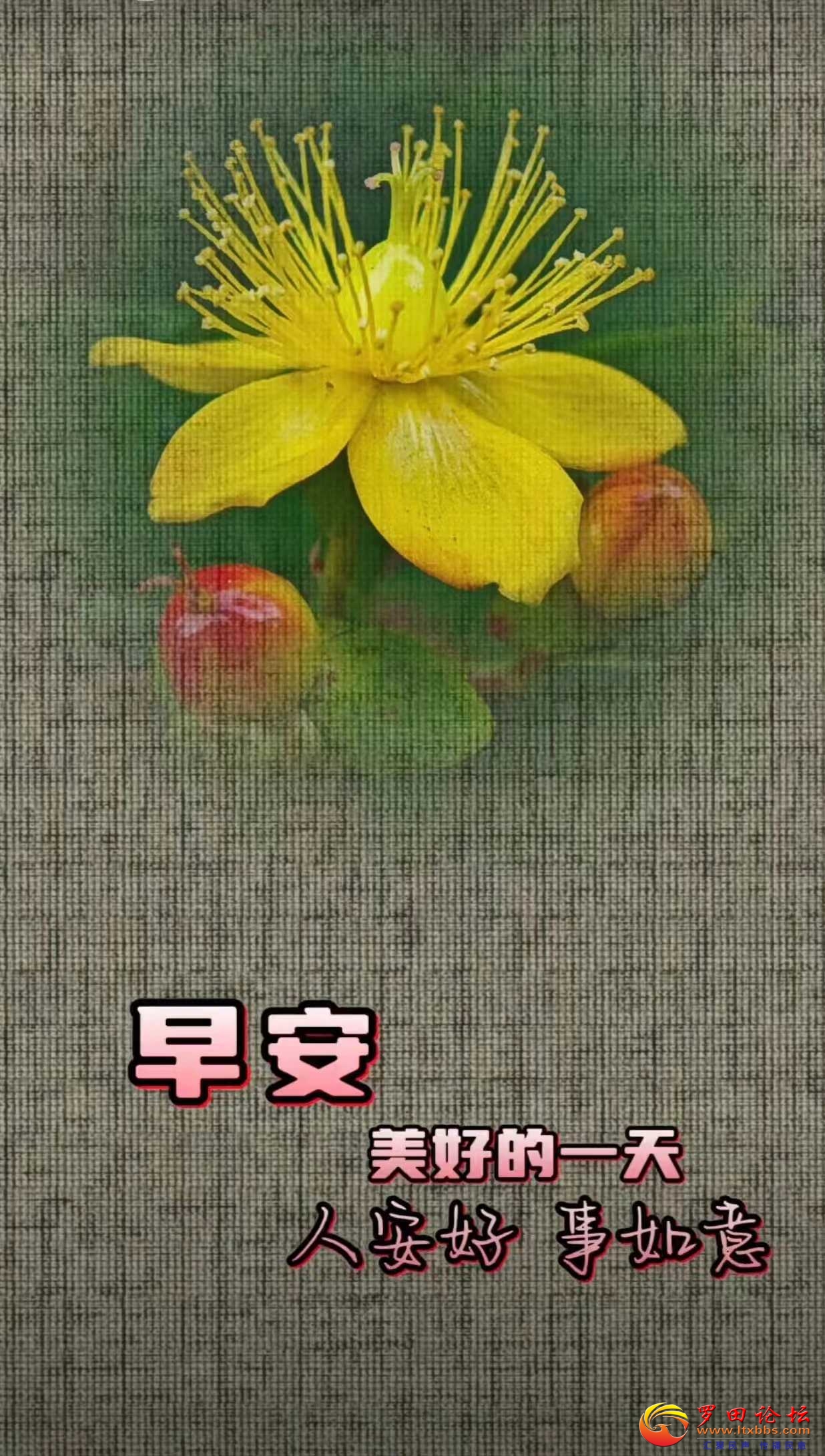 ΢ͼƬ_20240513104647.jpg