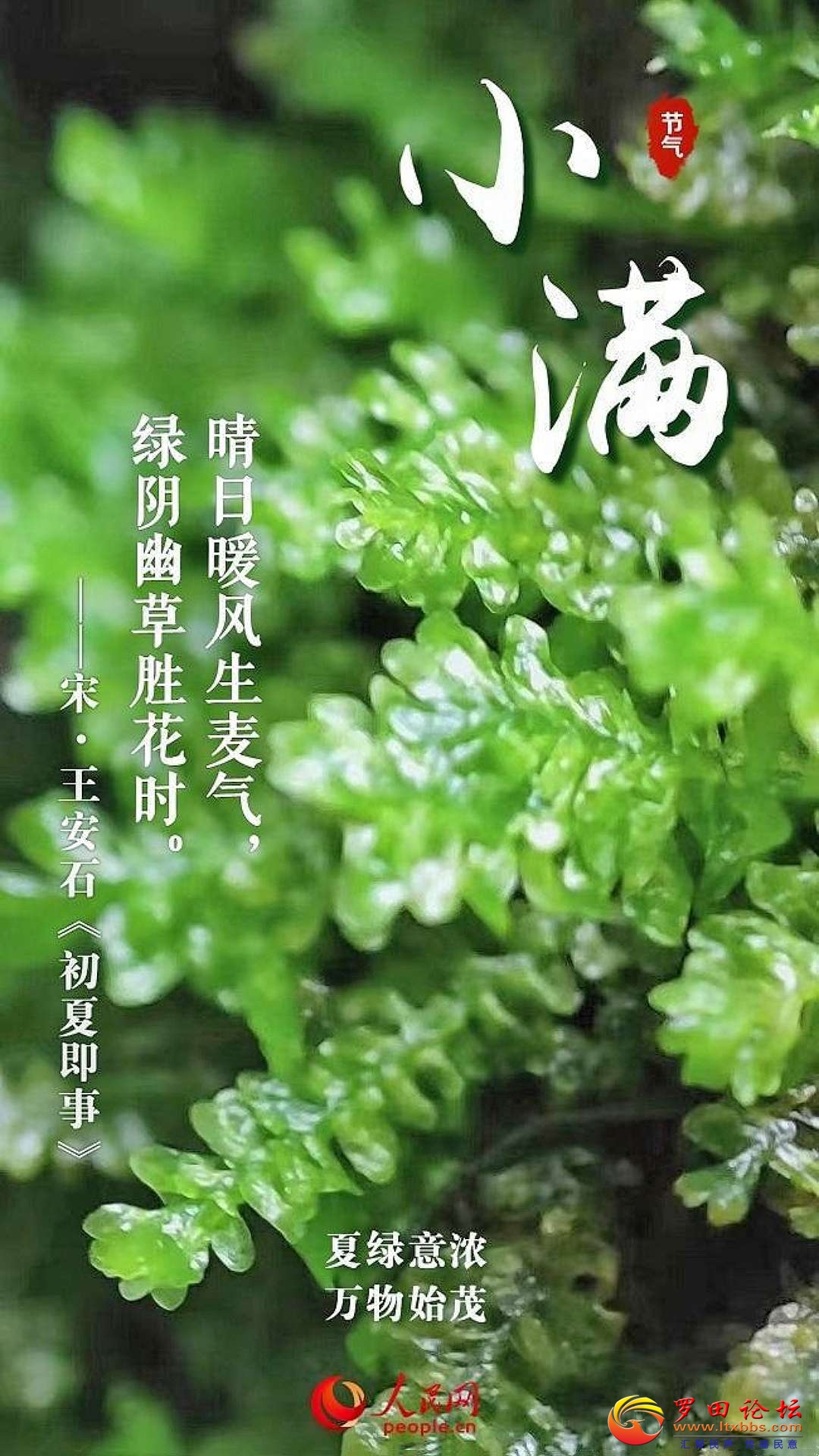 20240520163726front2_0_1160_FurZ4rCv3f6DC3WBB1d8lTJYPQGC.jpg
