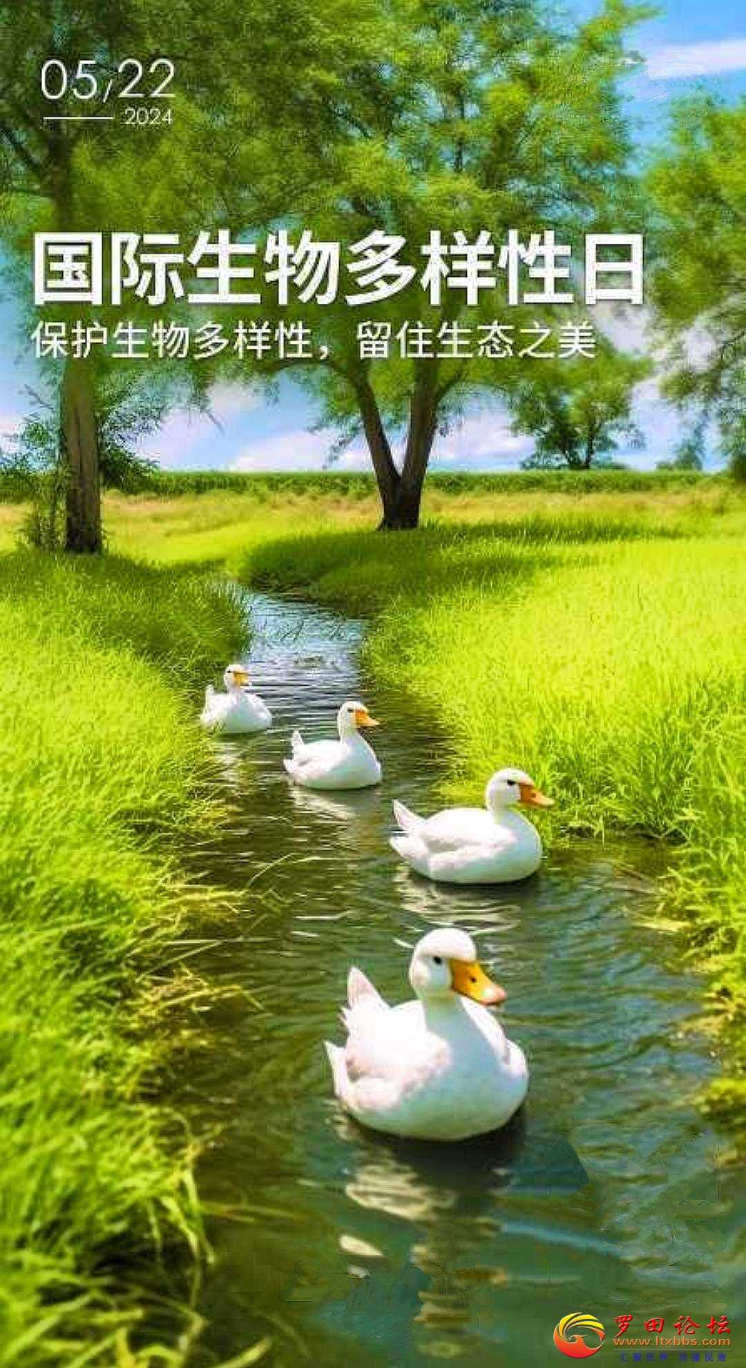 a8bddbe4fc441317a71eb1b6c78ed876_162930egv8z988e87pxzzp.jpg